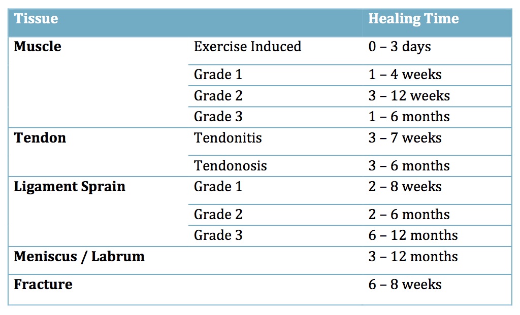 what are the 12 stages of healing